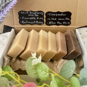 Goat Milk Soap Sampler