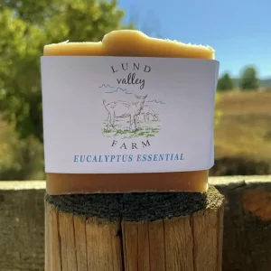 Eucalyptus Essential
