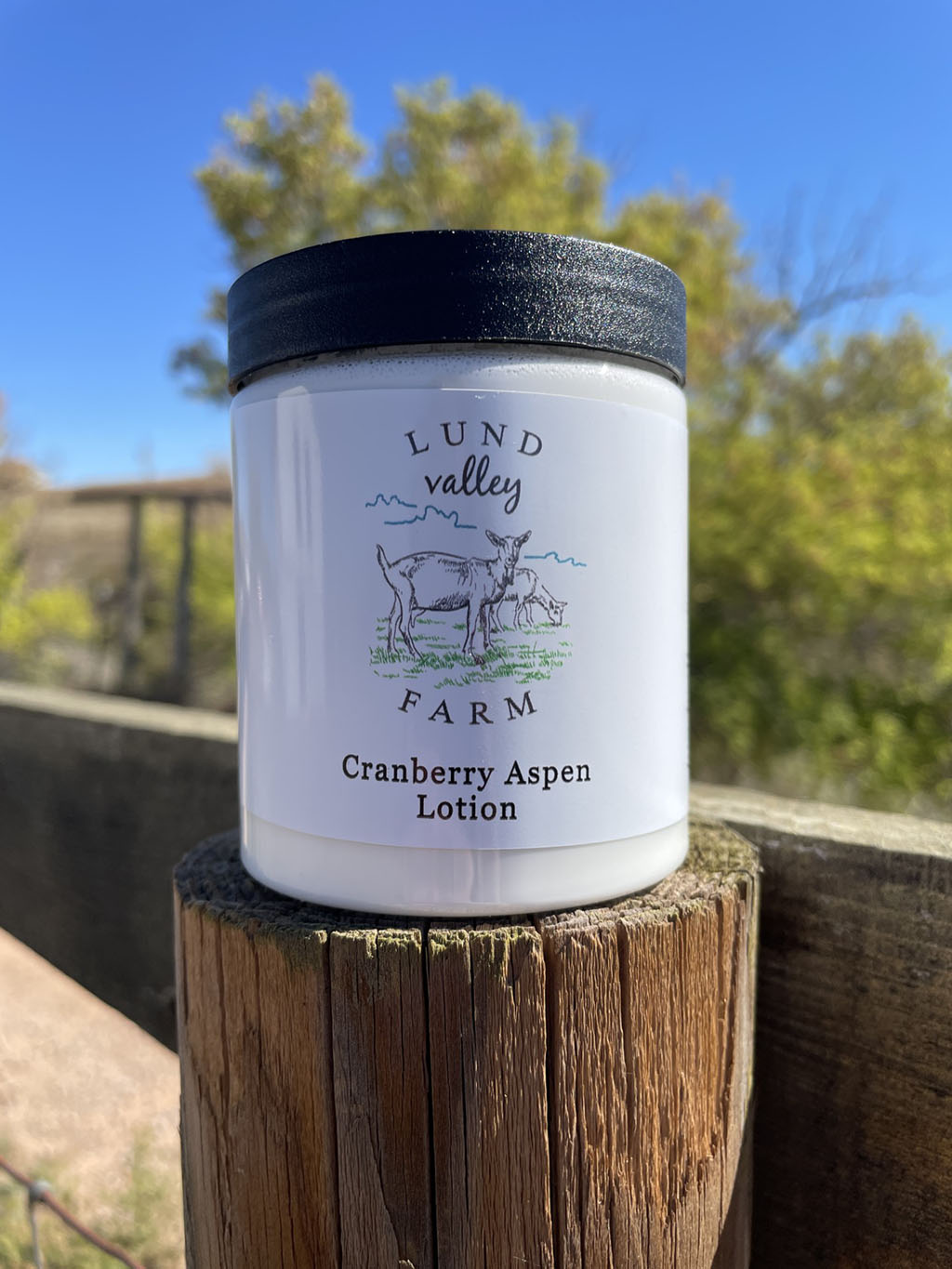 Cranberry Aspen body Lotion