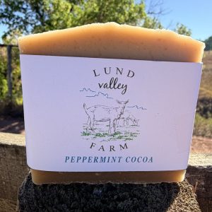 Peppermint Cocoa