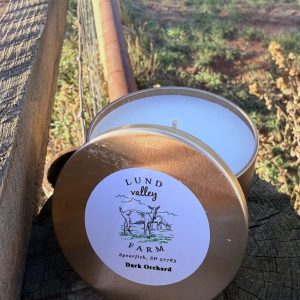 Dark Orchard Candle